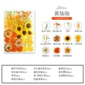 Marque-page fleurs séchées pressées pour résine DIY – Couleur Brun (5)