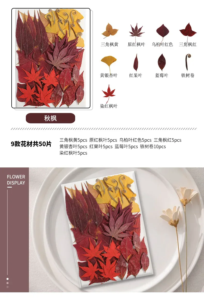 Marque-page fleurs séchées pressées pour résine DIY