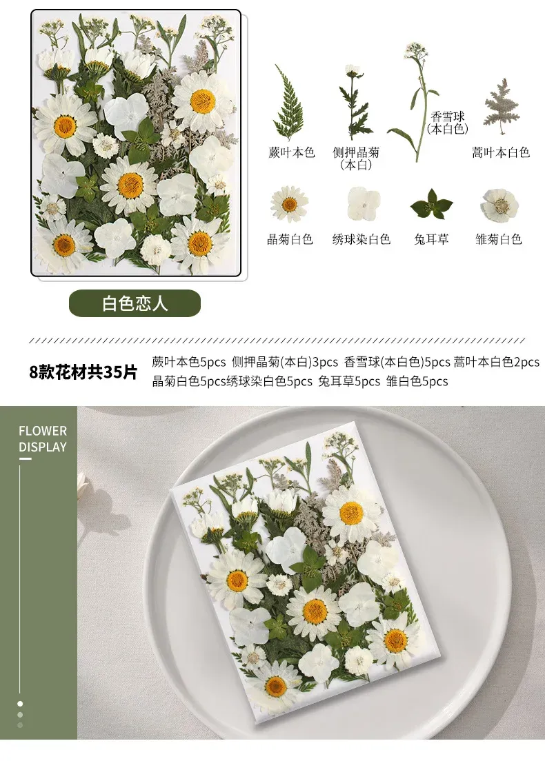 Marque-page fleurs séchées pressées pour résine DIY