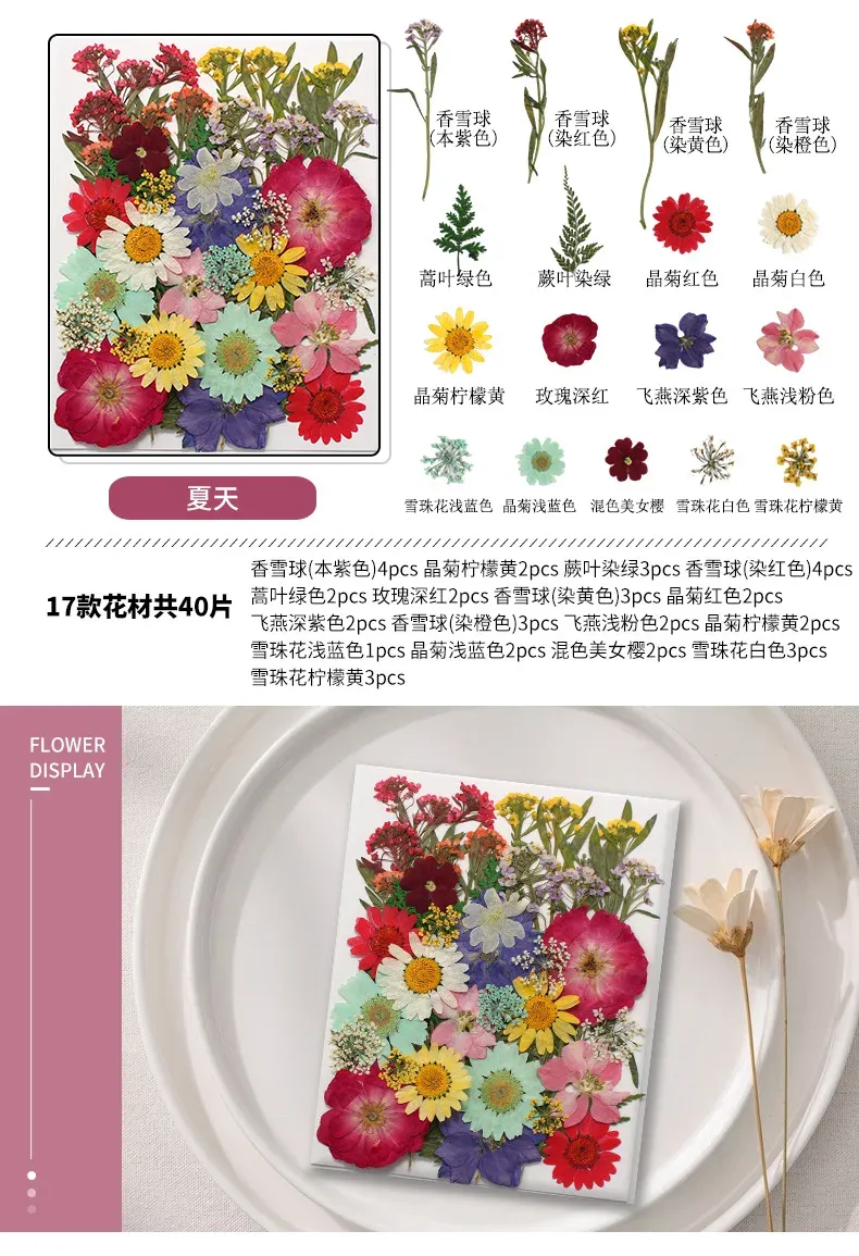 Marque-page fleurs séchées pressées pour résine DIY