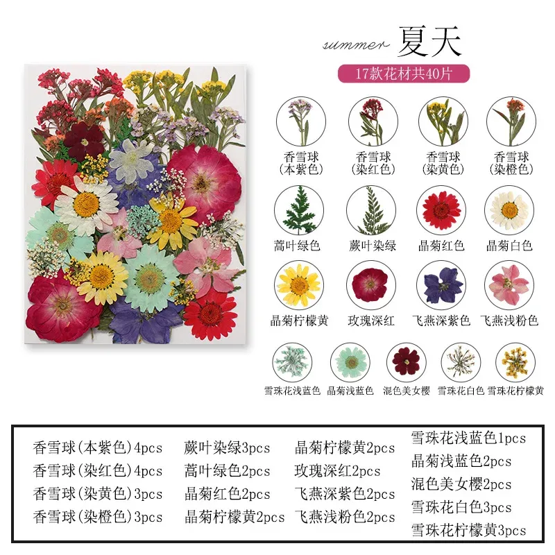 Marque-page fleurs séchées pressées pour résine DIY