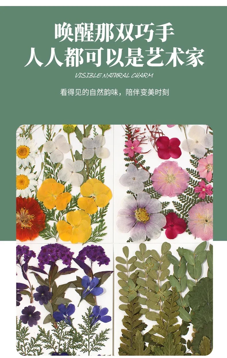 Marque-page fleurs séchées pressées pour résine DIY