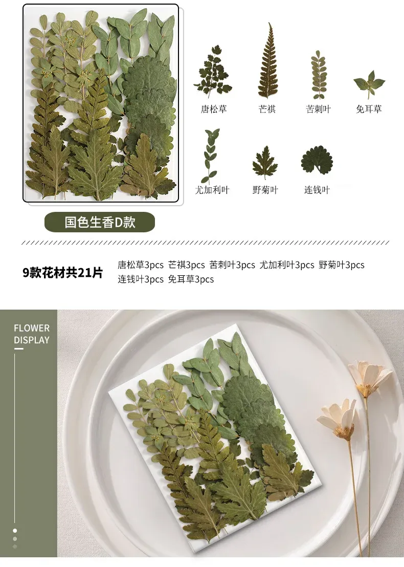 Marque-page fleurs séchées pressées pour résine DIY