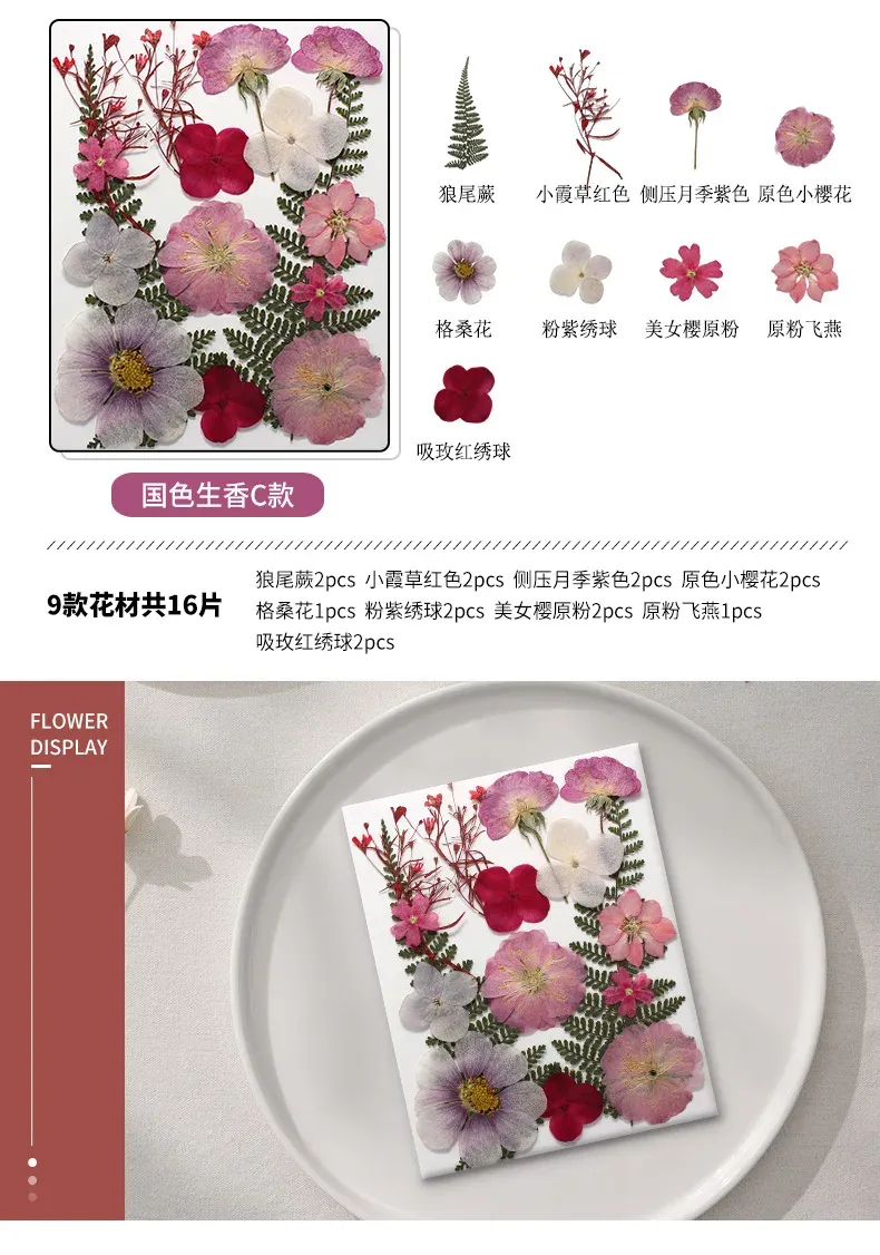 Marque-page fleurs séchées pressées pour résine DIY