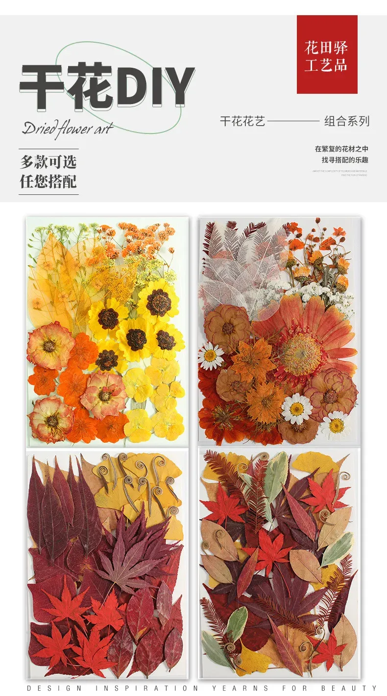 Marque-page fleurs séchées pressées pour résine DIY