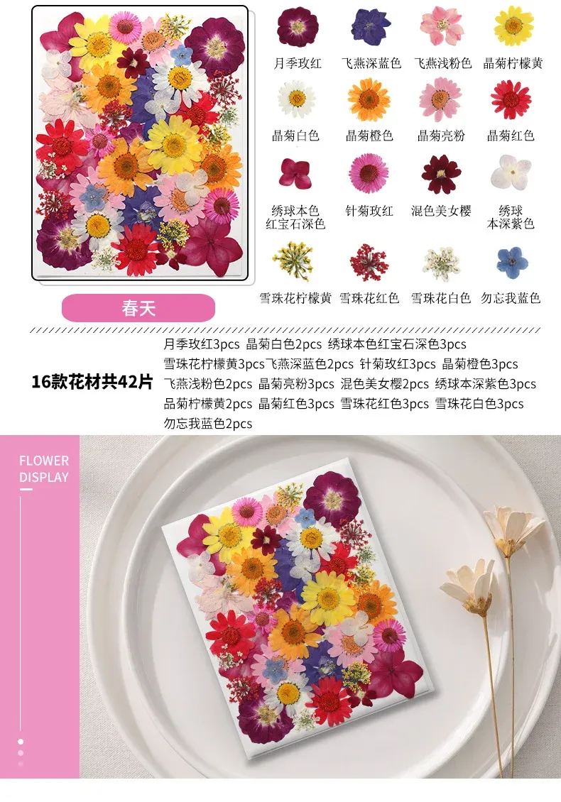 Marque-page fleurs séchées pressées pour résine DIY