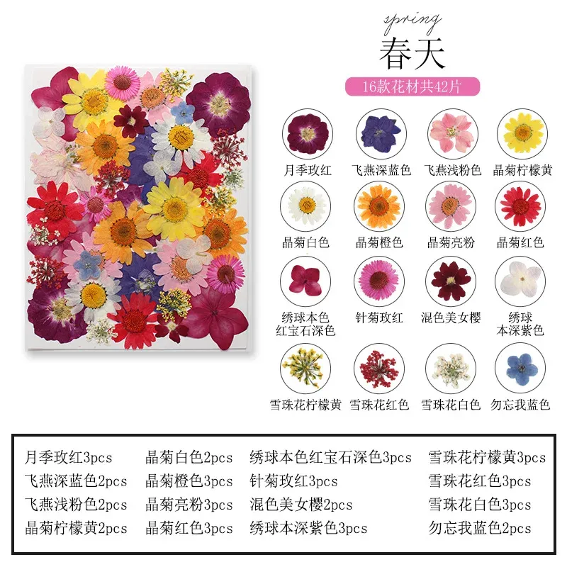 Marque-page fleurs séchées pressées pour résine DIY