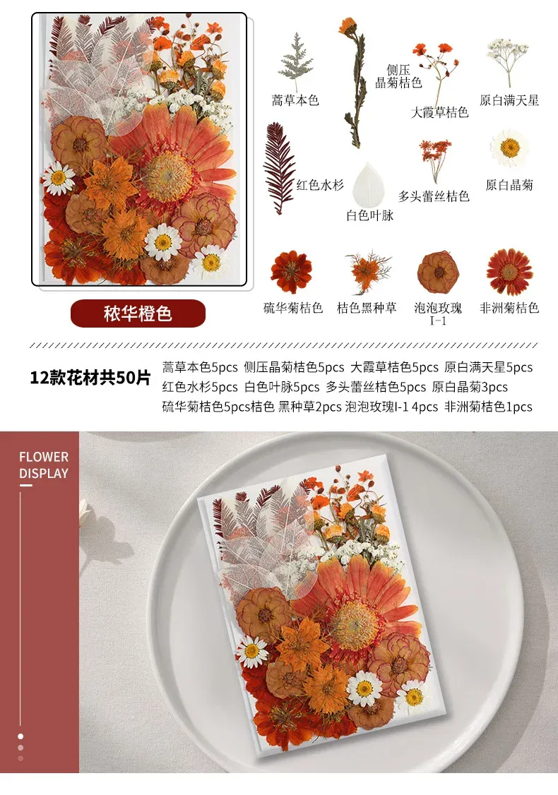 Marque-page fleurs séchées pressées pour résine DIY