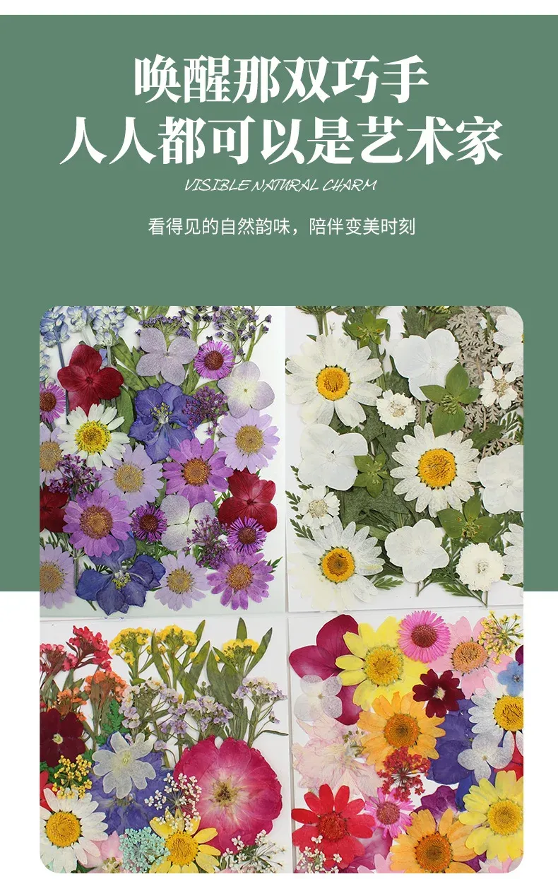 Marque-page fleurs séchées pressées pour résine DIY
