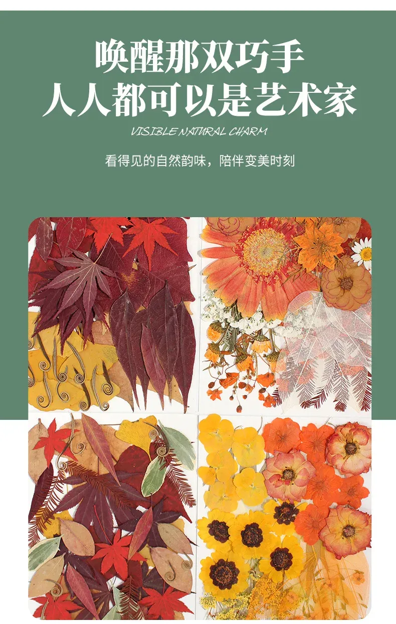 Marque-page fleurs séchées pressées pour résine DIY