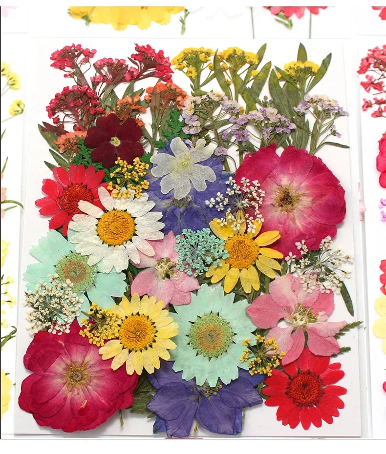 Marque-page fleurs séchées pressées pour résine DIY
