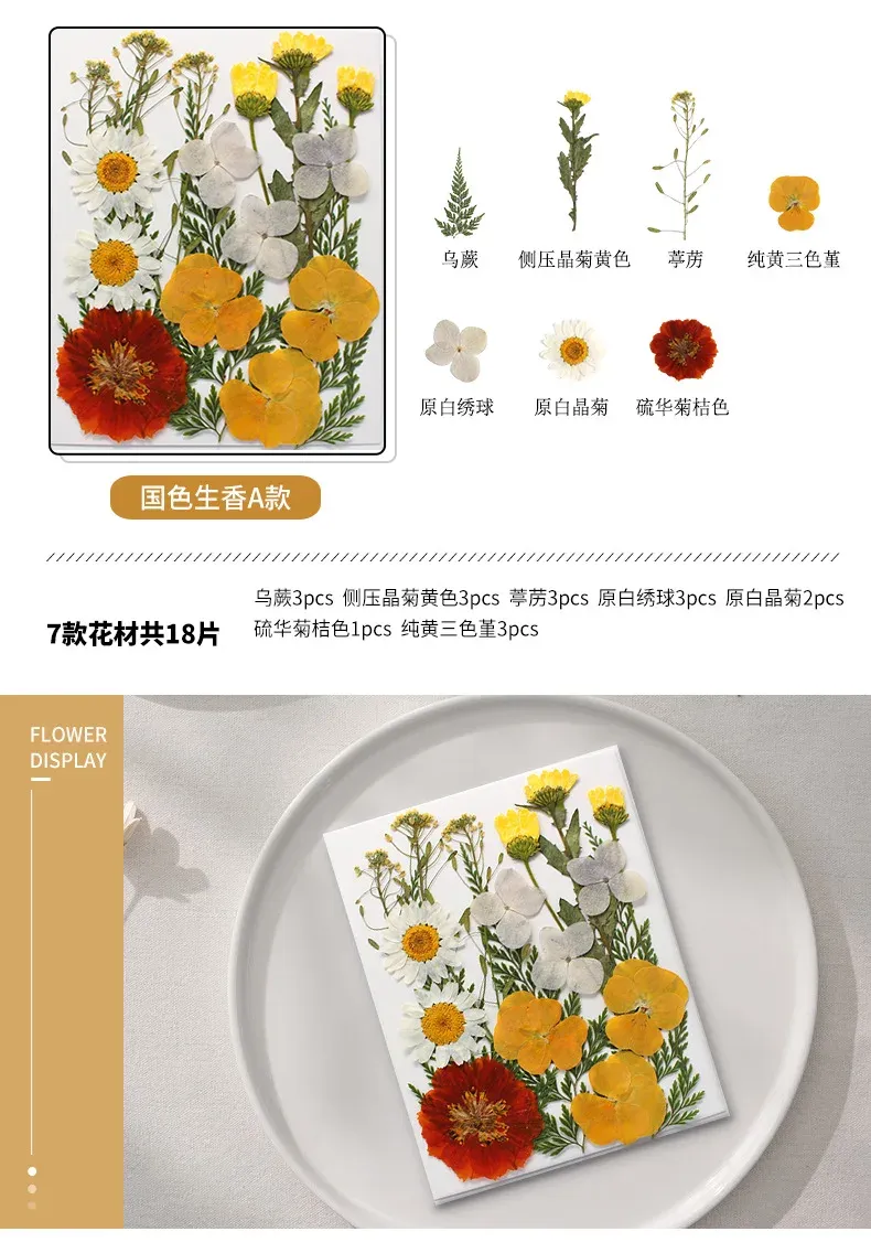Marque-page fleurs séchées pressées pour résine DIY