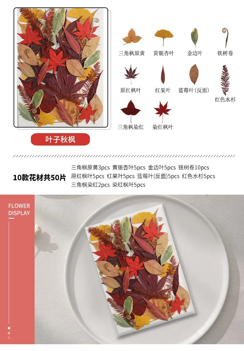 Marque-page fleurs séchées pressées pour résine DIY