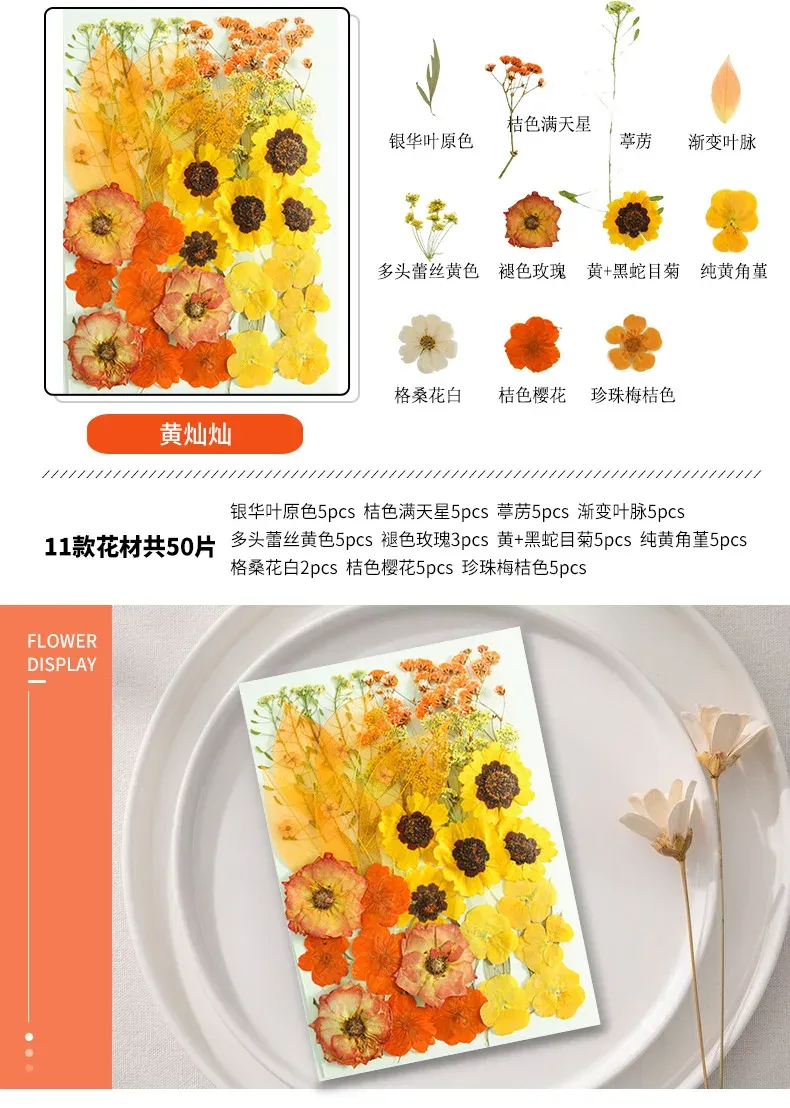 Marque-page fleurs séchées pressées pour résine DIY