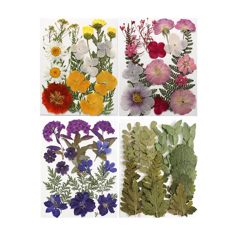 Marque-page fleurs séchées pressées pour résine DIY