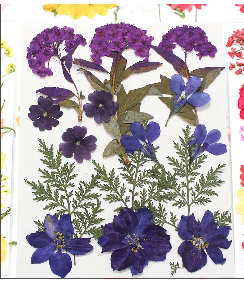 Marque-page fleurs séchées pressées pour résine DIY