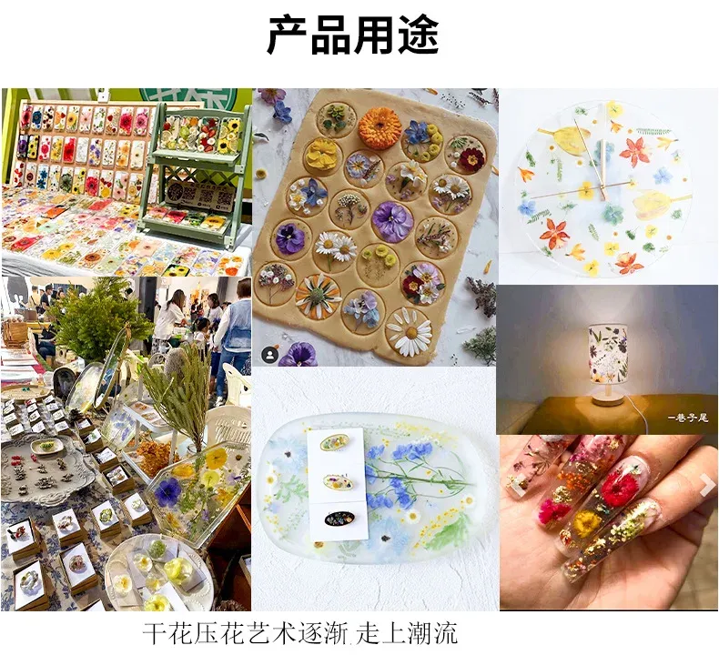 Marque-page fleurs séchées pressées pour résine DIY