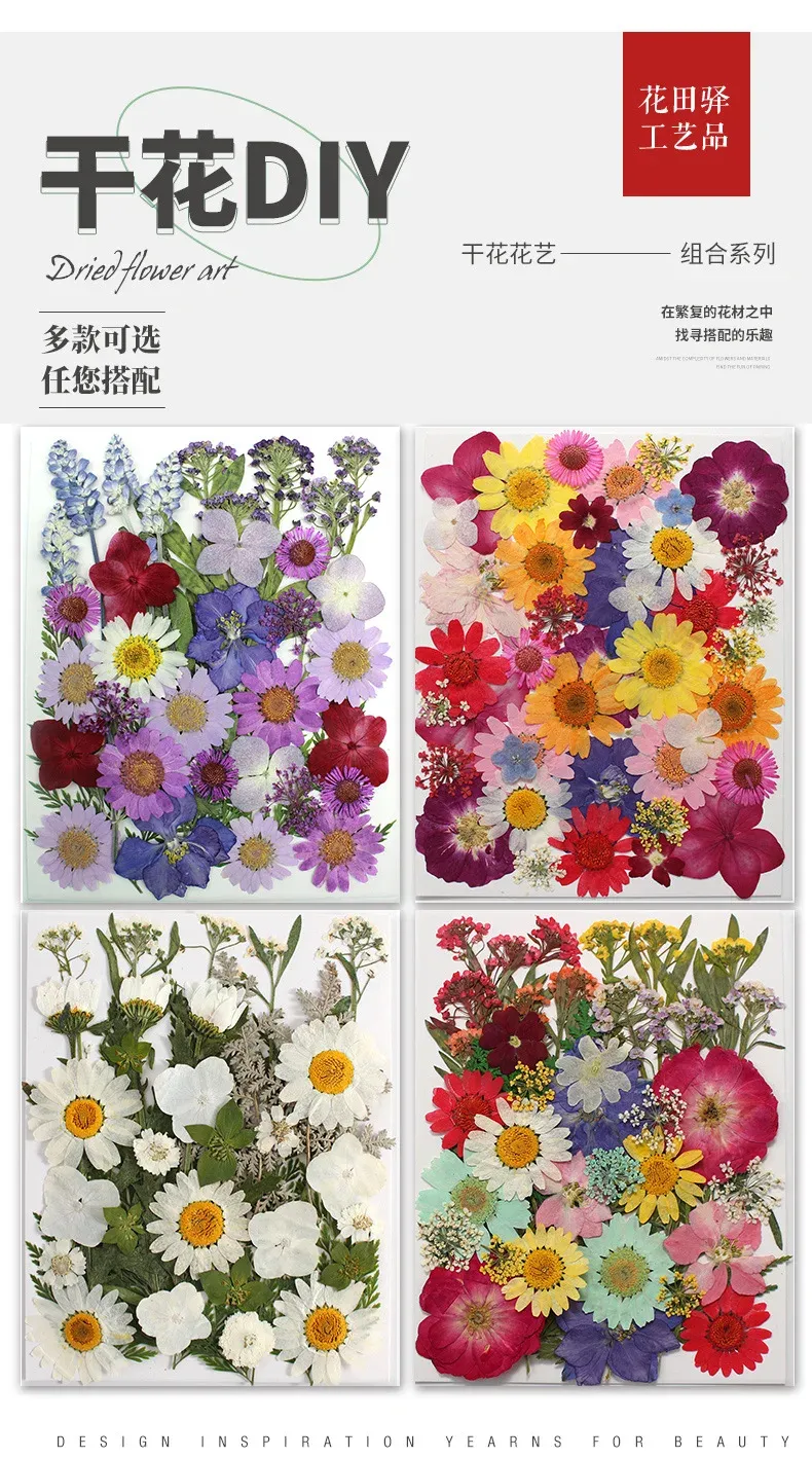 Marque-page fleurs séchées pressées pour résine DIY
