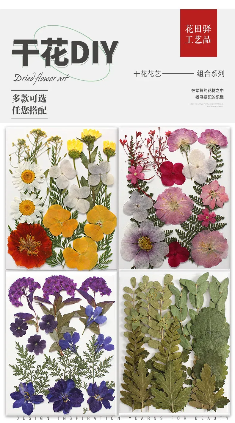 Marque-page fleurs séchées pressées pour résine DIY