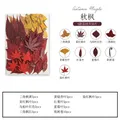 Marque-page fleurs séchées pressées pour résine DIY – Couleur GRIS (7)
