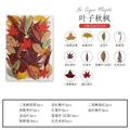 Marque-page fleurs séchées pressées pour résine DIY – Couleur Gris foncé (8)