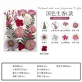 Marque-page fleurs séchées pressées pour résine DIY – Couleur Ivoire (11)