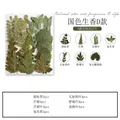 Marque-page fleurs séchées pressées pour résine DIY – Couleur Kaki (12)