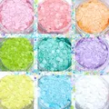 Mélange de paillettes néon mat 10 g pour résine – 6