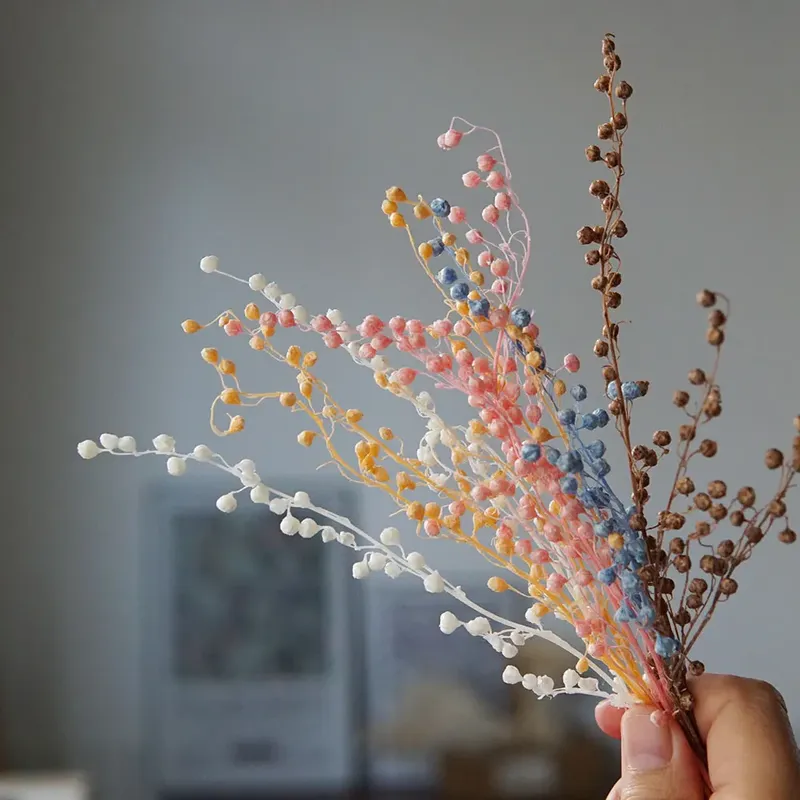 Mini haricots séchés 10g pour résine et bougies
