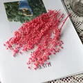 Mini haricots séchés 10g pour résine et bougies – Couleur Dark pink
