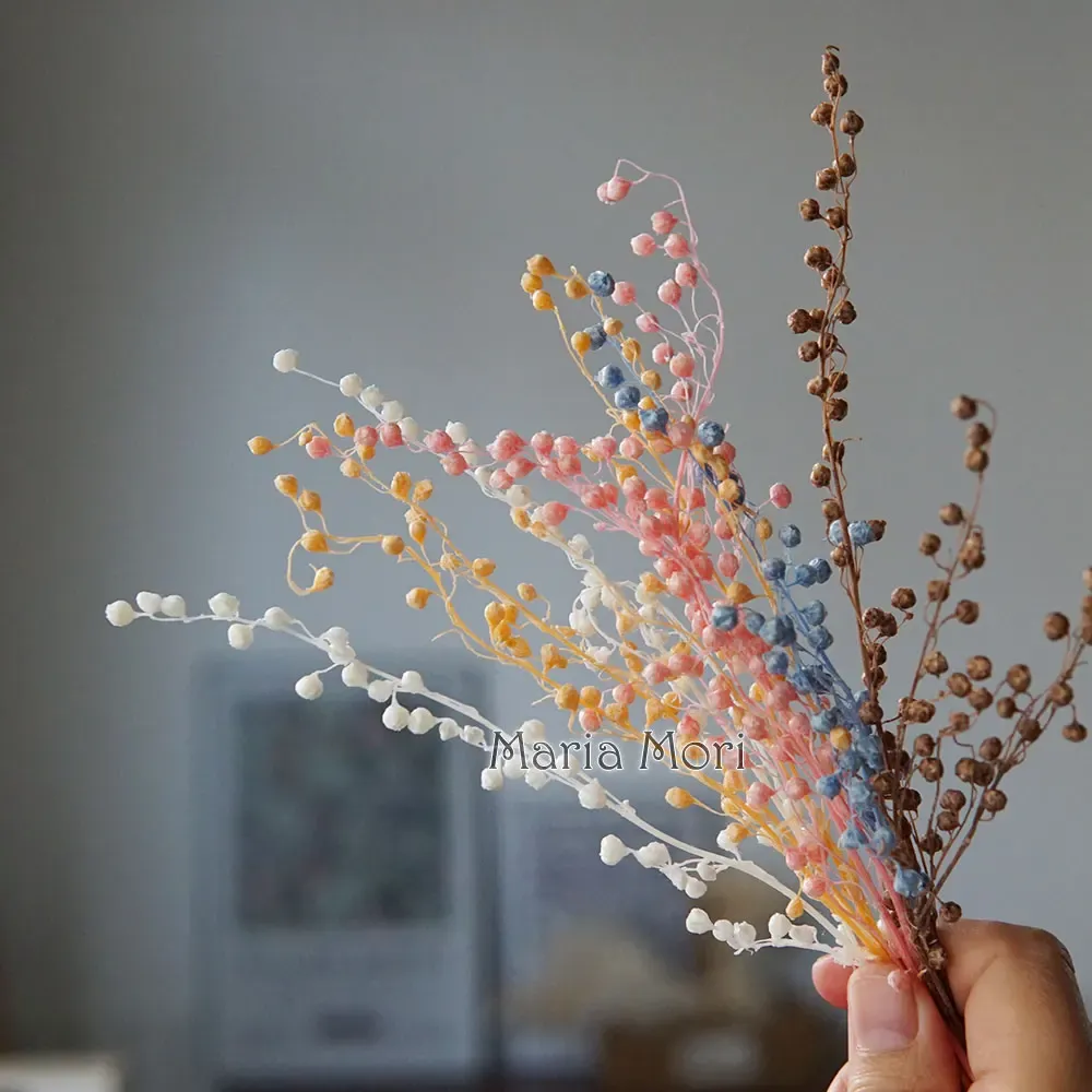 Mini haricots séchés 10g pour résine et bougies