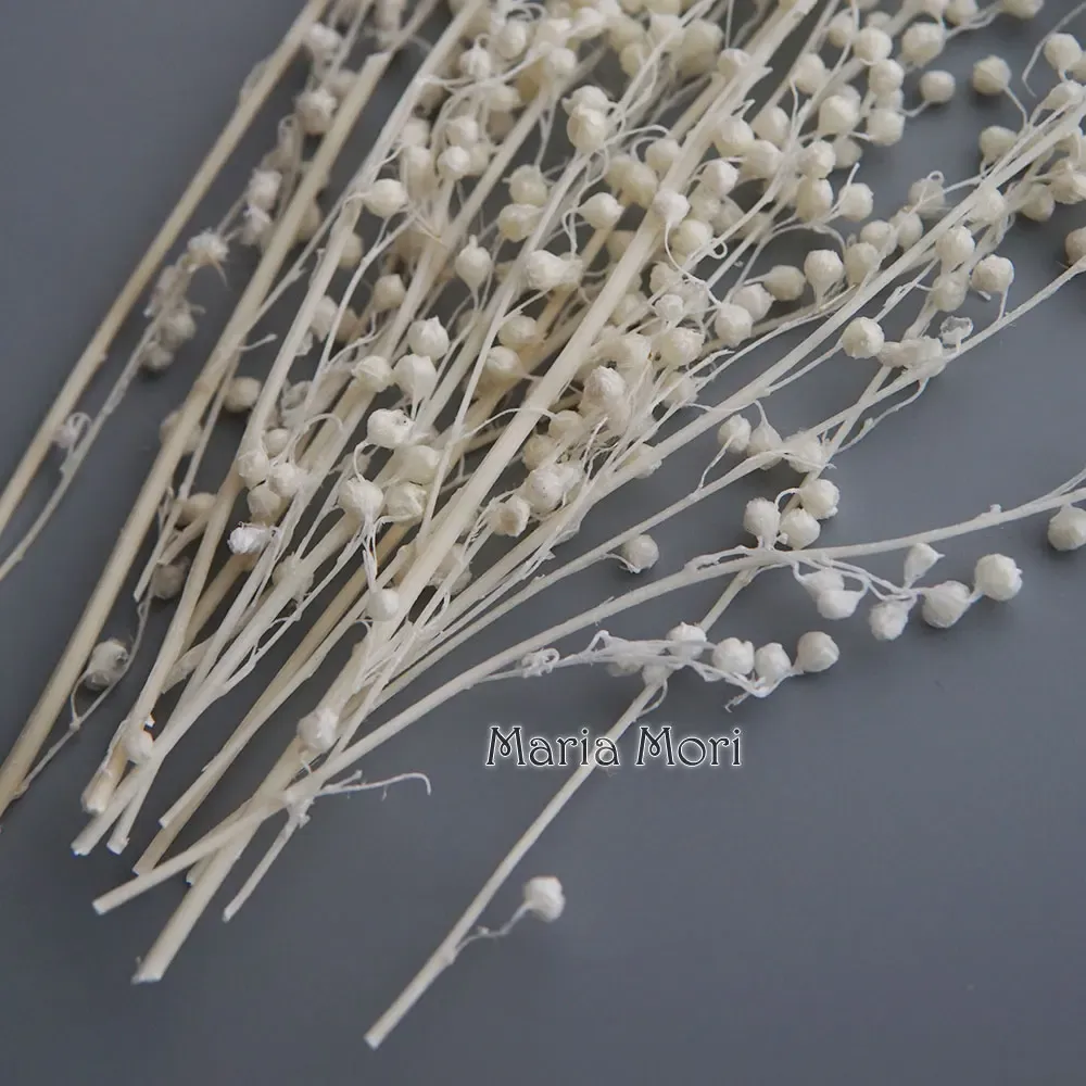 Mini haricots séchés 10g pour résine et bougies