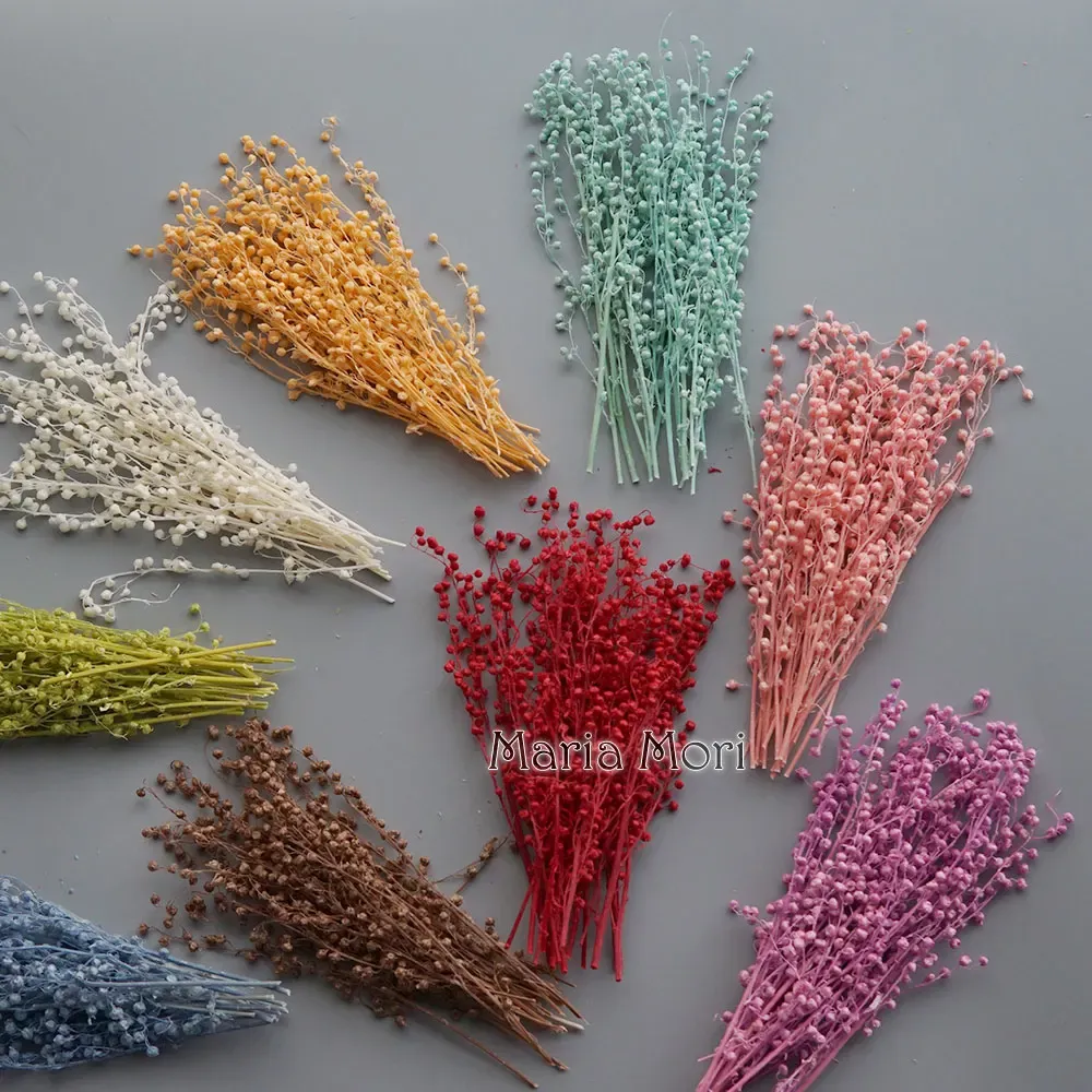 Mini haricots séchés 10g pour résine et bougies