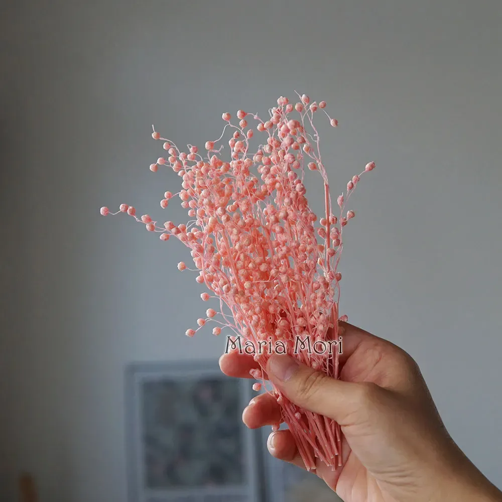Mini haricots séchés 10g pour résine et bougies