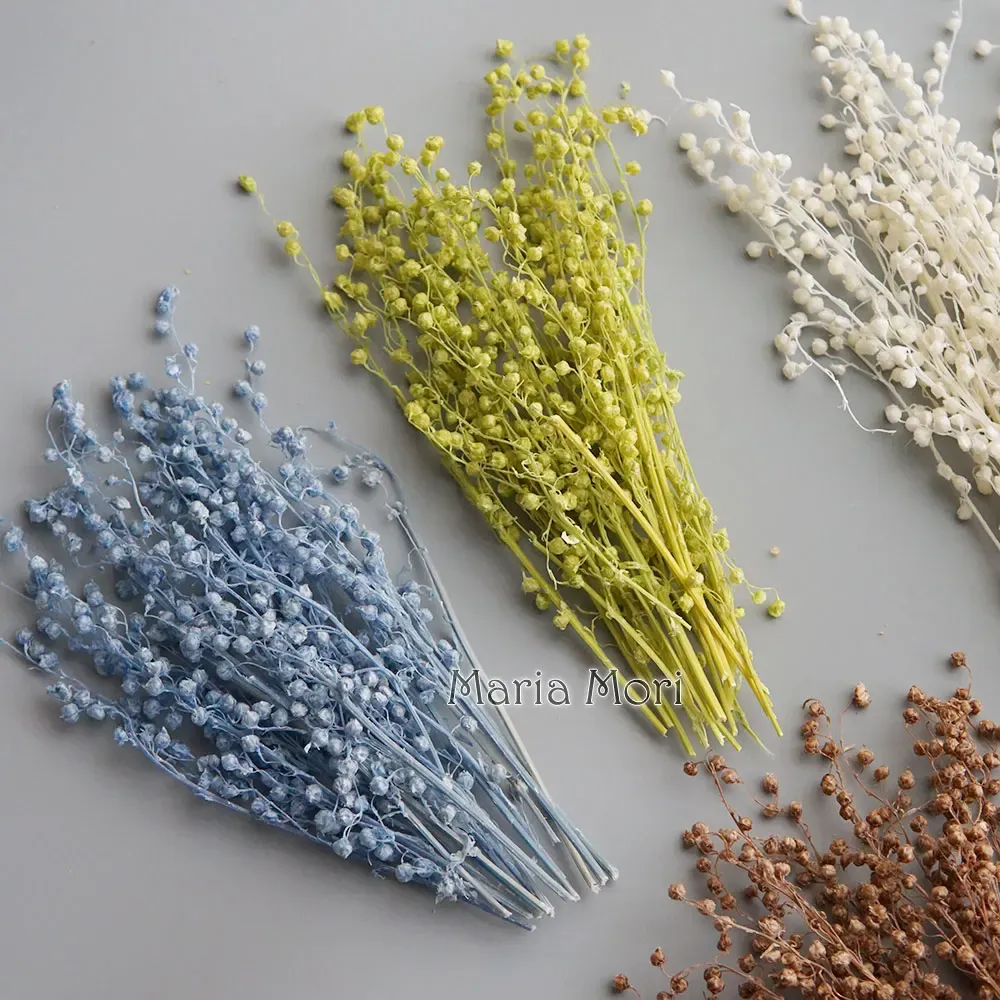 Mini haricots séchés 10g pour résine et bougies