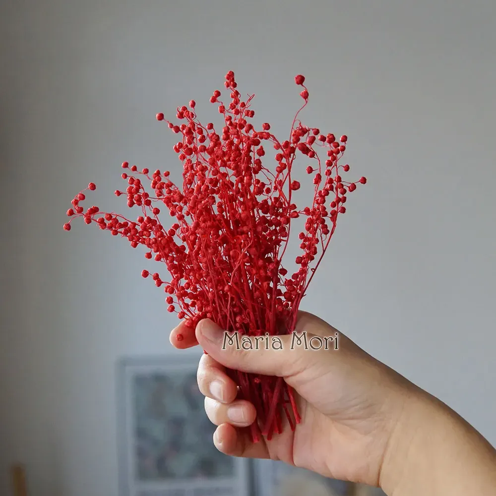 Mini haricots séchés 10g pour résine et bougies