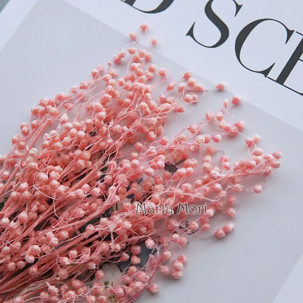Mini haricots séchés 10g pour résine et bougies