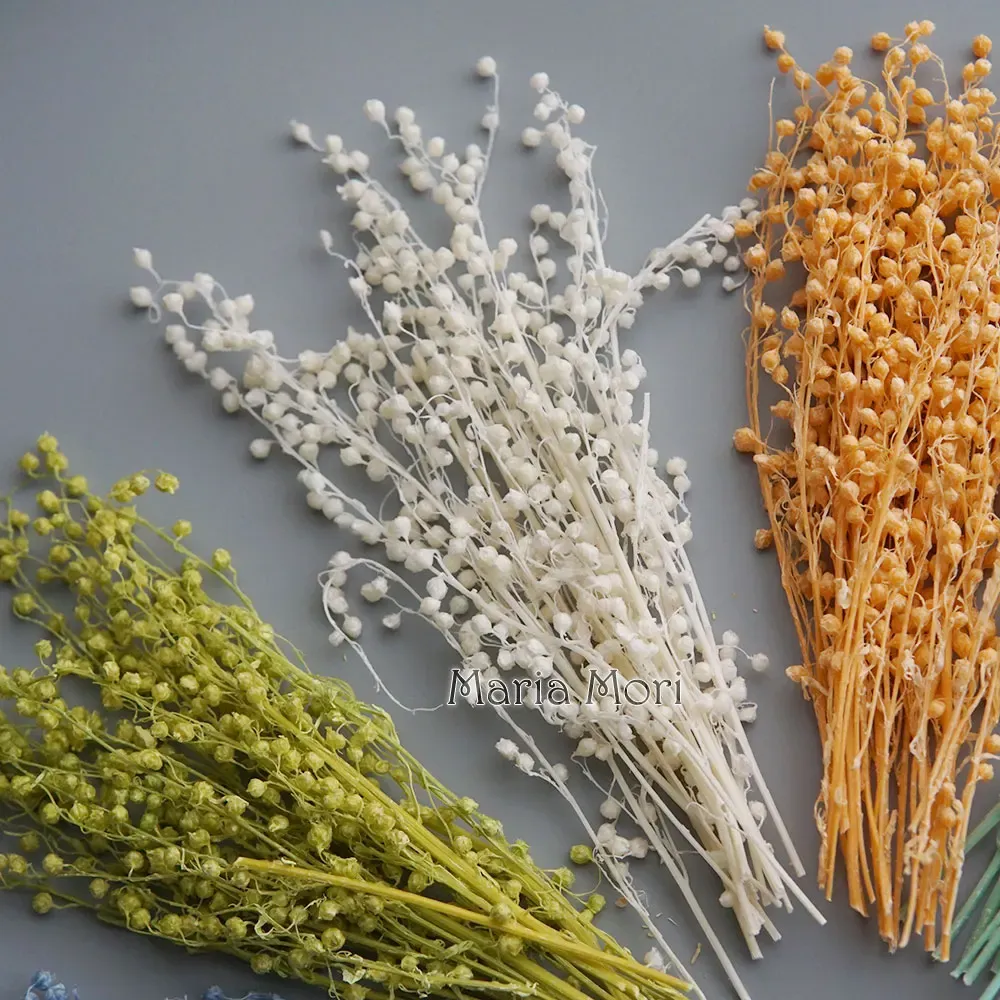 Mini haricots séchés 10g pour résine et bougies