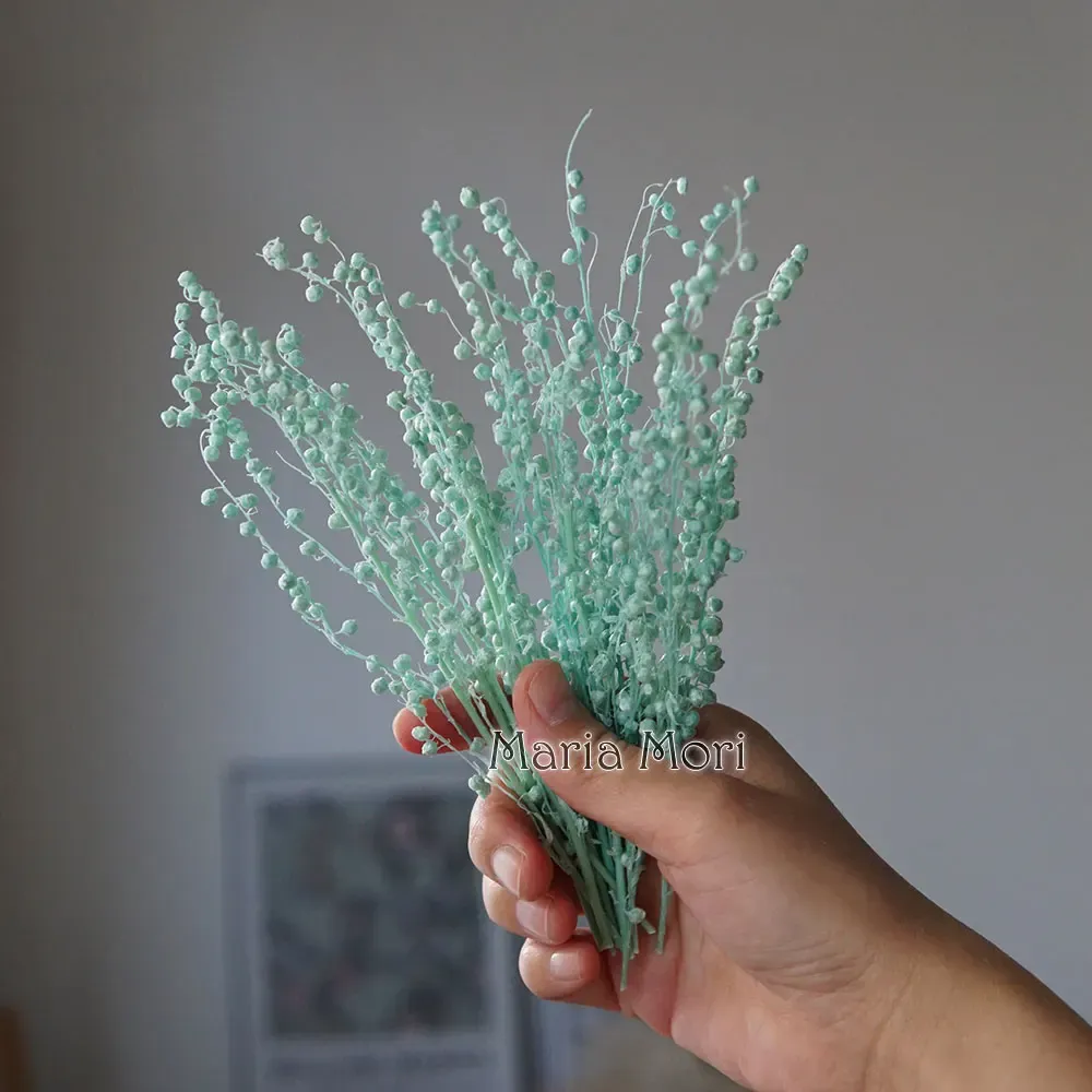 Mini haricots séchés 10g pour résine et bougies