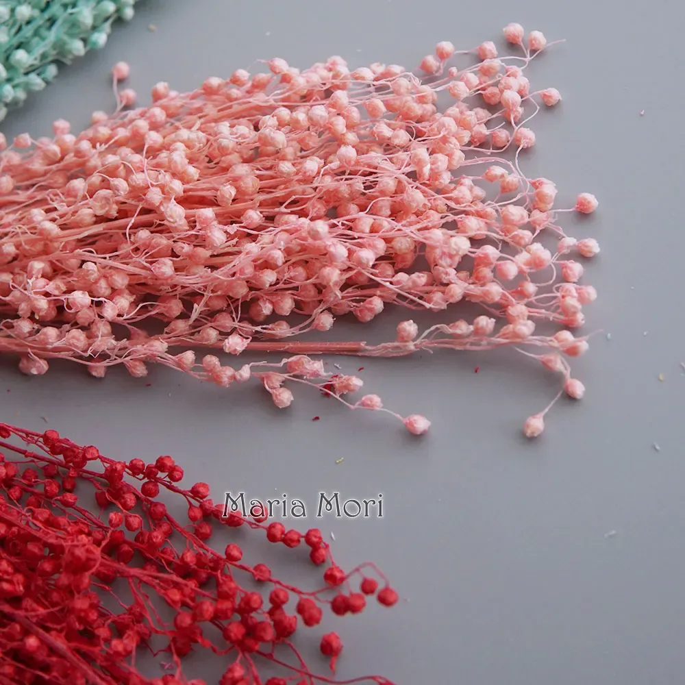 Mini haricots séchés 10g pour résine et bougies