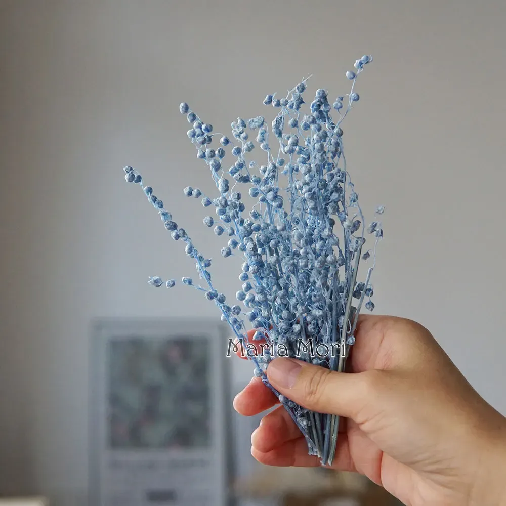 Mini haricots séchés 10g pour résine et bougies