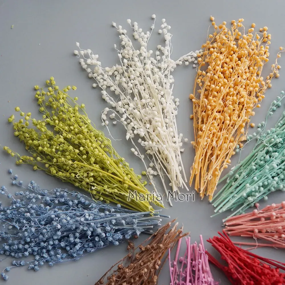 Mini haricots séchés 10g pour résine et bougies