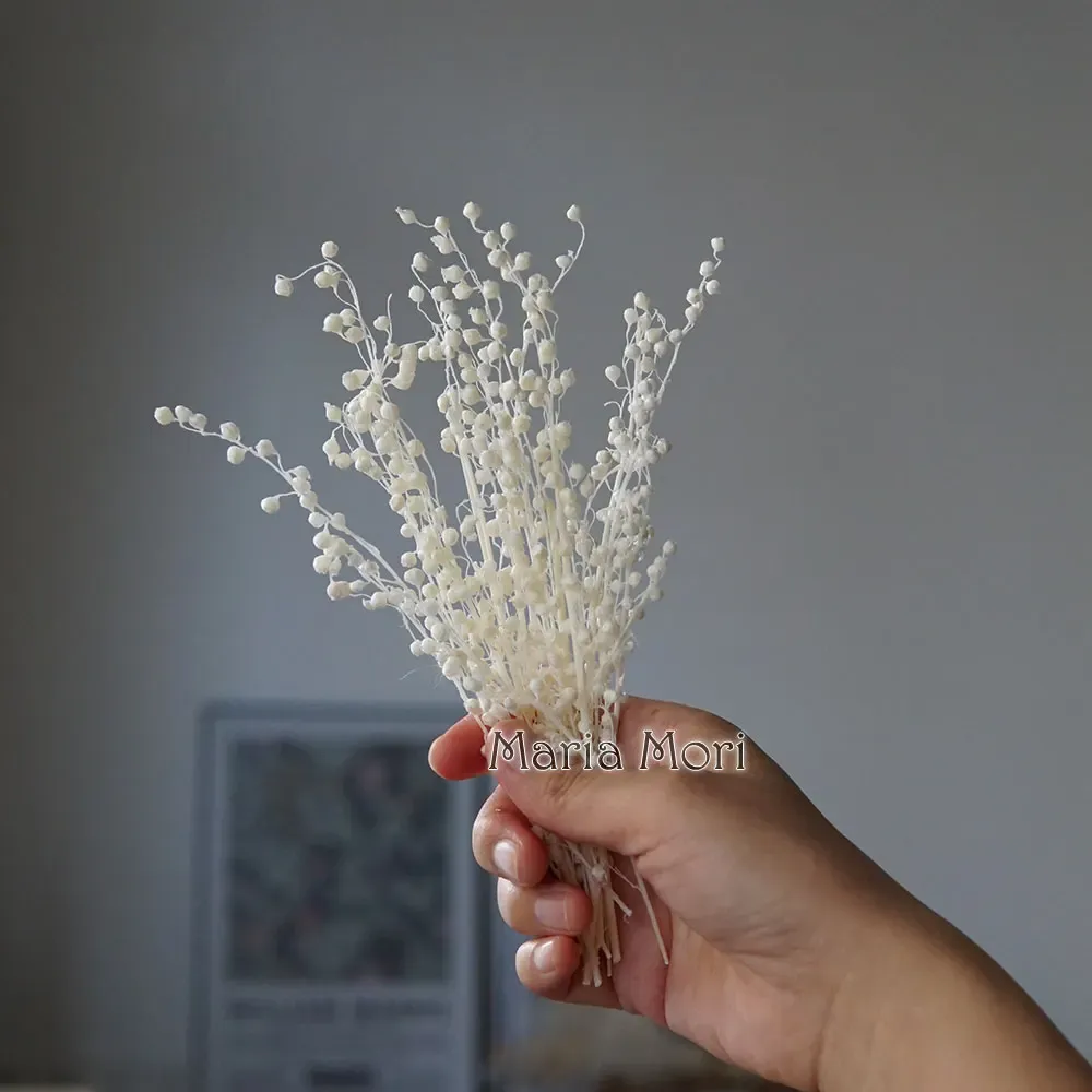 Mini haricots séchés 10g pour résine et bougies