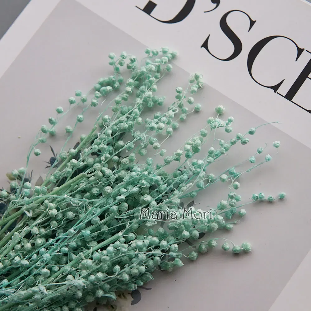 Mini haricots séchés 10g pour résine et bougies
