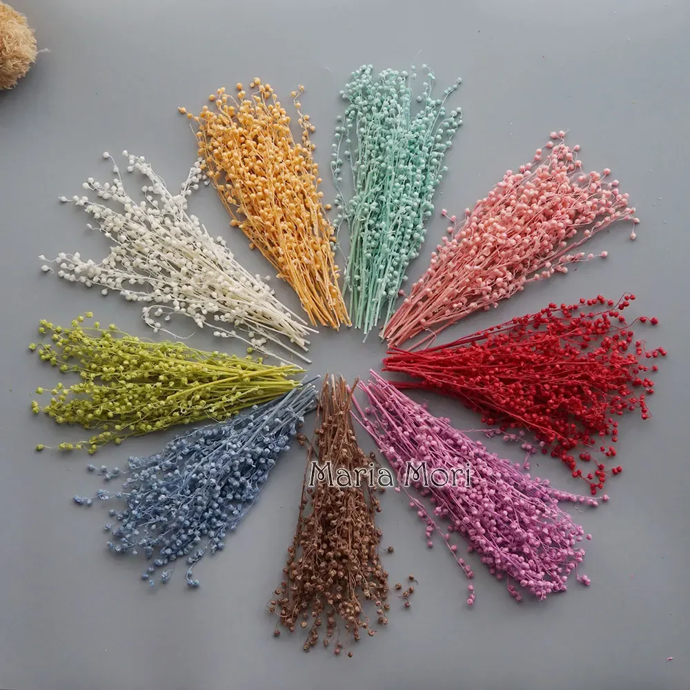 Mini haricots séchés 10g pour résine et bougies