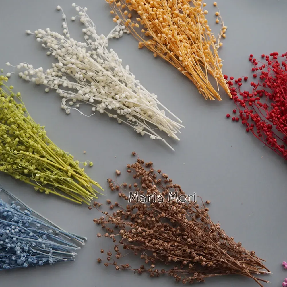 Mini haricots séchés 10g pour résine et bougies
