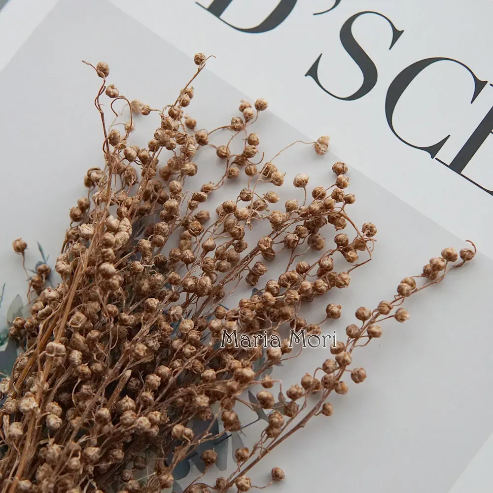 Mini haricots séchés 10g pour résine et bougies
