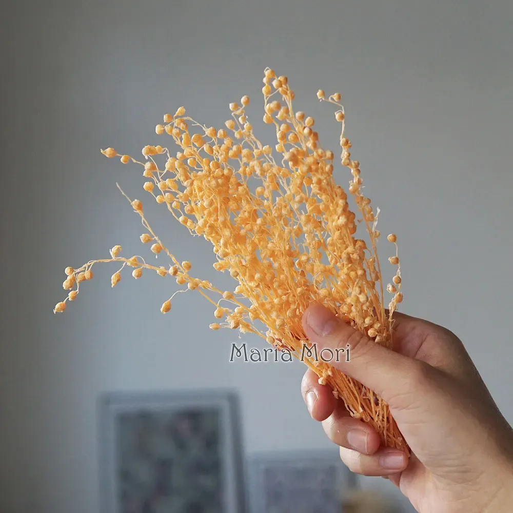 Mini haricots séchés 10g pour résine et bougies