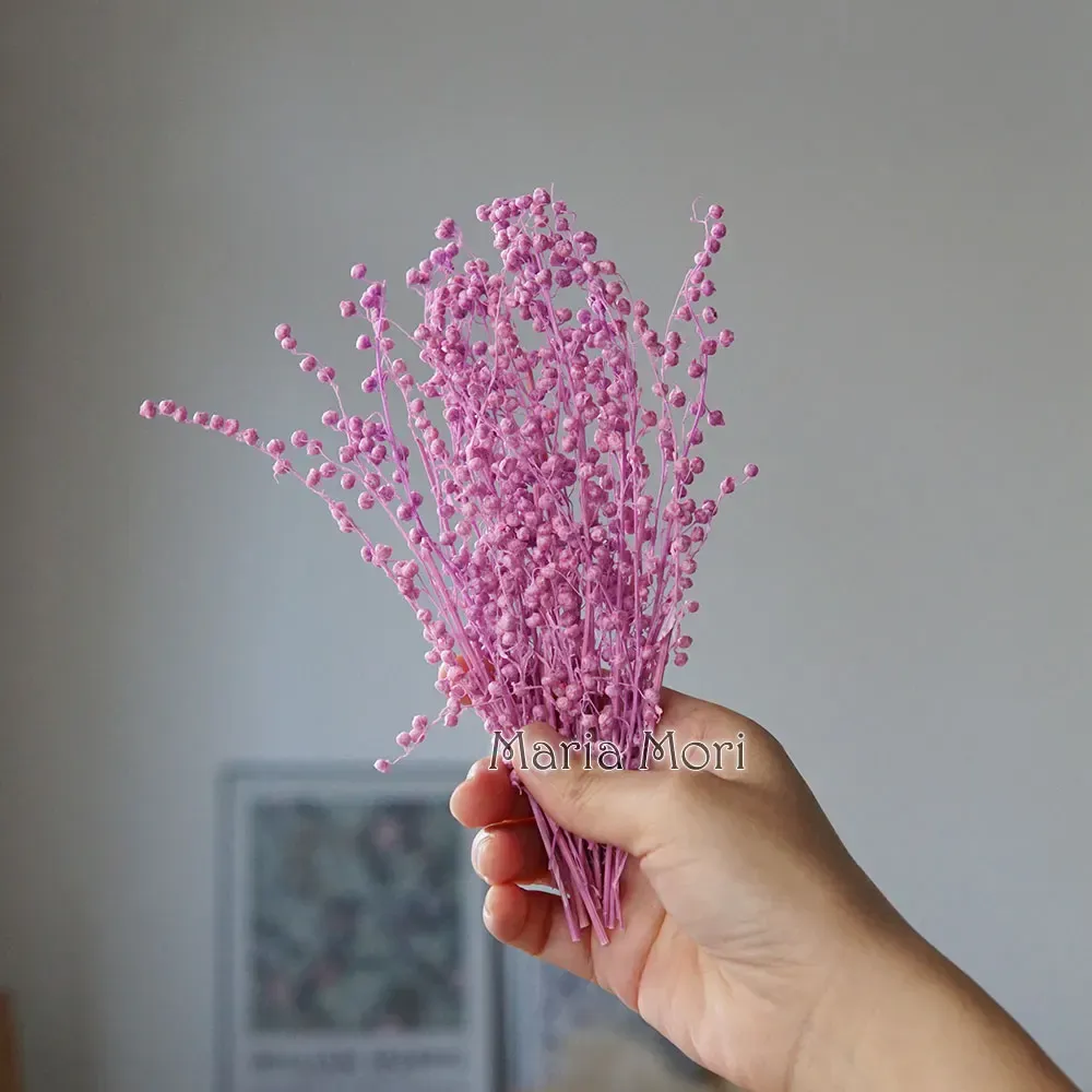 Mini haricots séchés 10g pour résine et bougies
