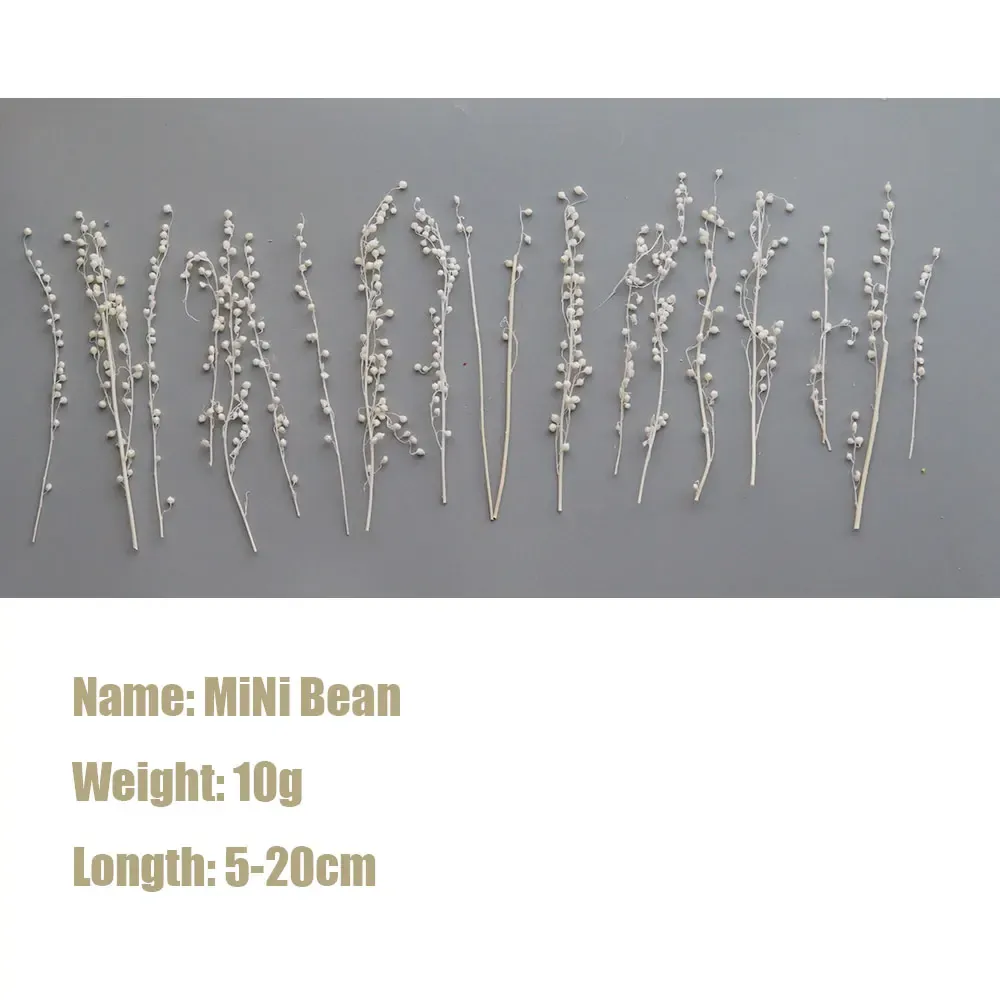 Mini haricots séchés 10g pour résine et bougies
